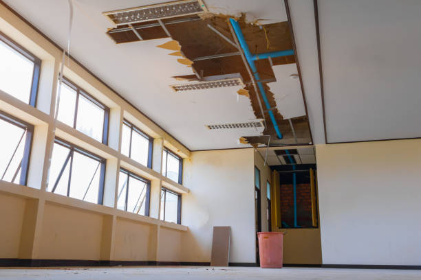 Best Ceiling water damage repair  in Walls, MS