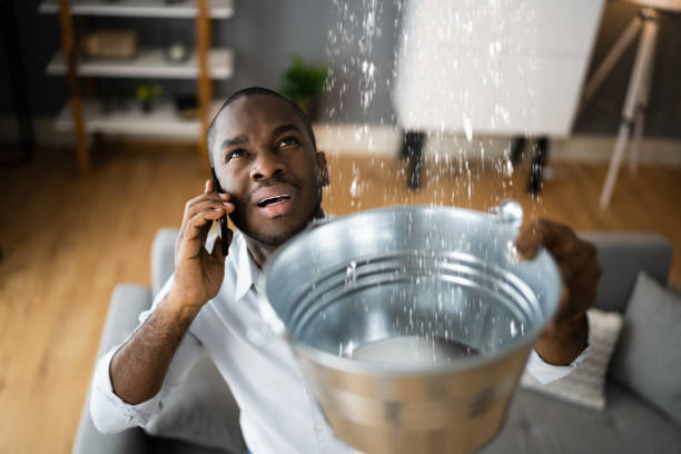 Best Flood damage cleanup  in Walls, MS