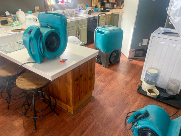 Best Carpet water damage restoration  in Walls, MS