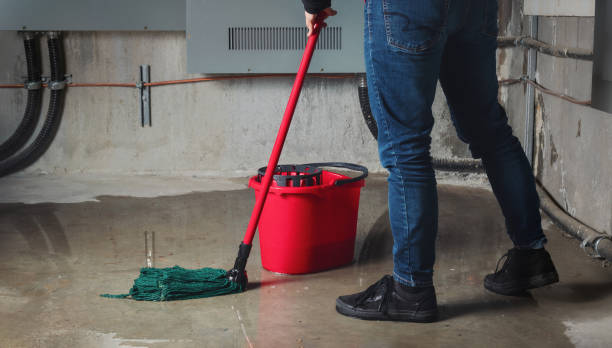 Best Water damage restoration specialists  in Walls, MS